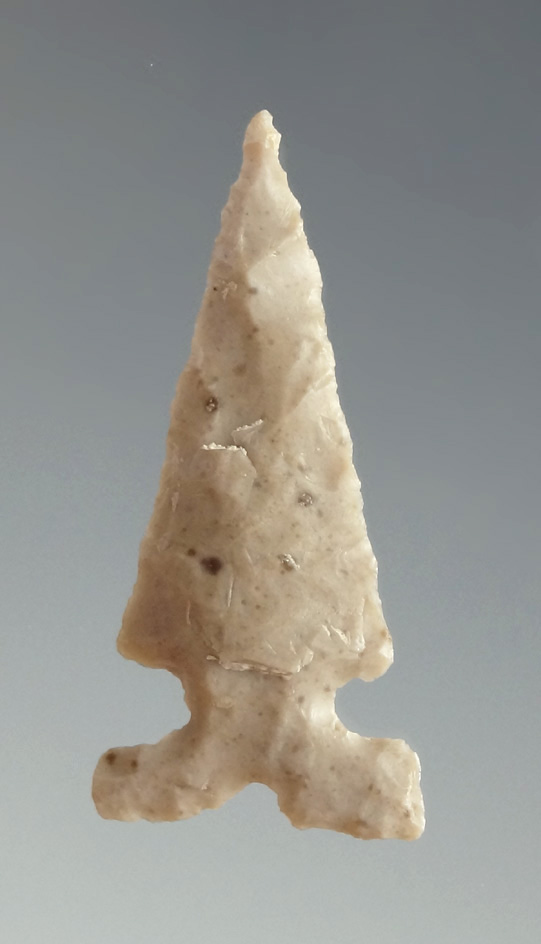 Pictured! 1 1/4" Harrell- Texas. Ex. Shewey collection.  Featured in Overstreet 15th edition - COA.