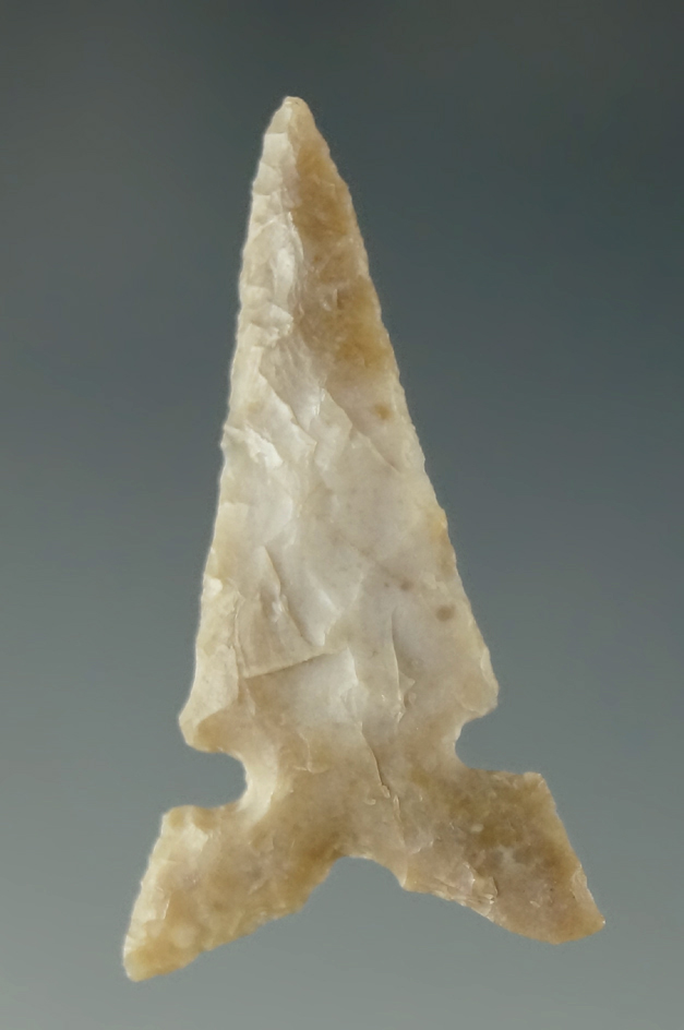 Very thin and nicely flaked 1 3/16" Toyah found in Texas. Ex. Charles Shewey collection.