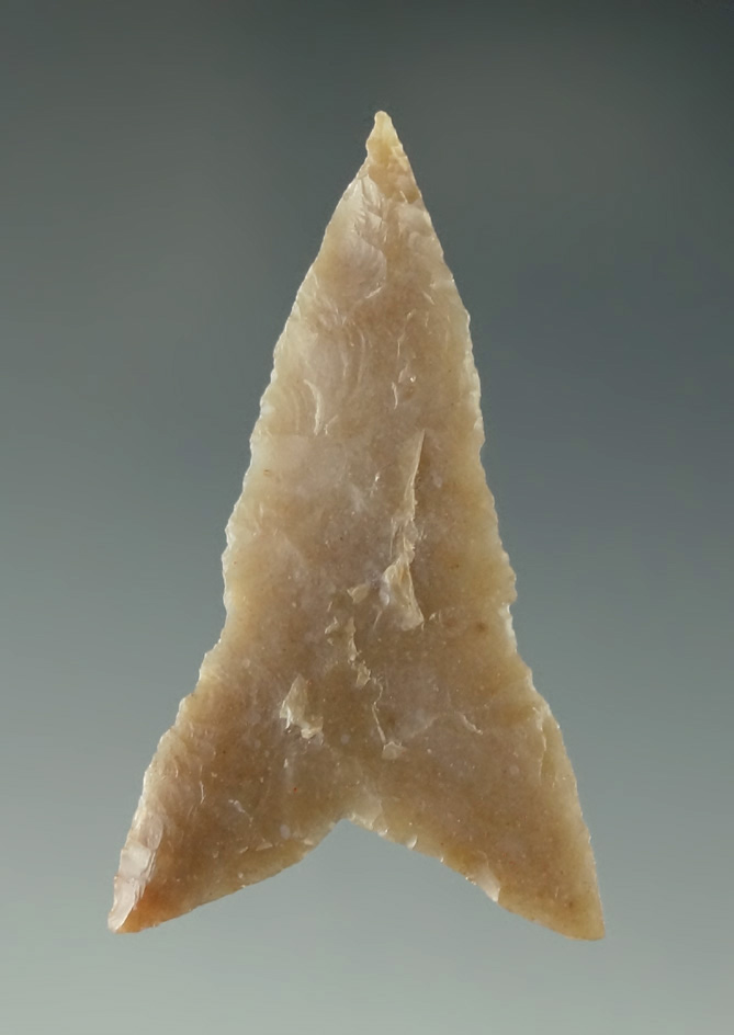 Paperthin exceptionally well flaked Starr point found in Texas. Ex. Charlie Shewey collection.