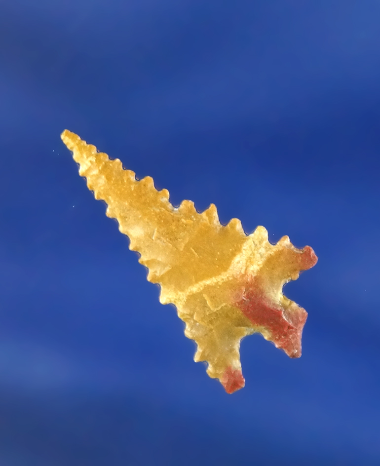 Simply incredible serrations on this 7/8" Jasper Rose Springs Corner Notch found in Oregon.