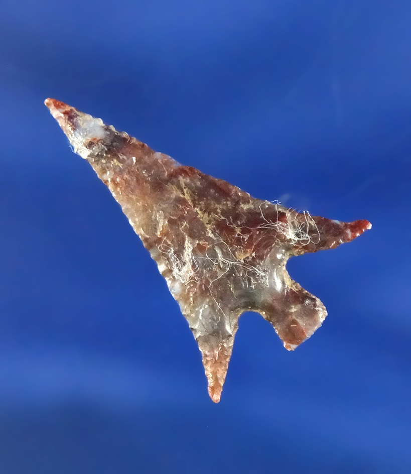 1" thin and well flaked Columbia Plateau made from beautiful material found in Oregon.