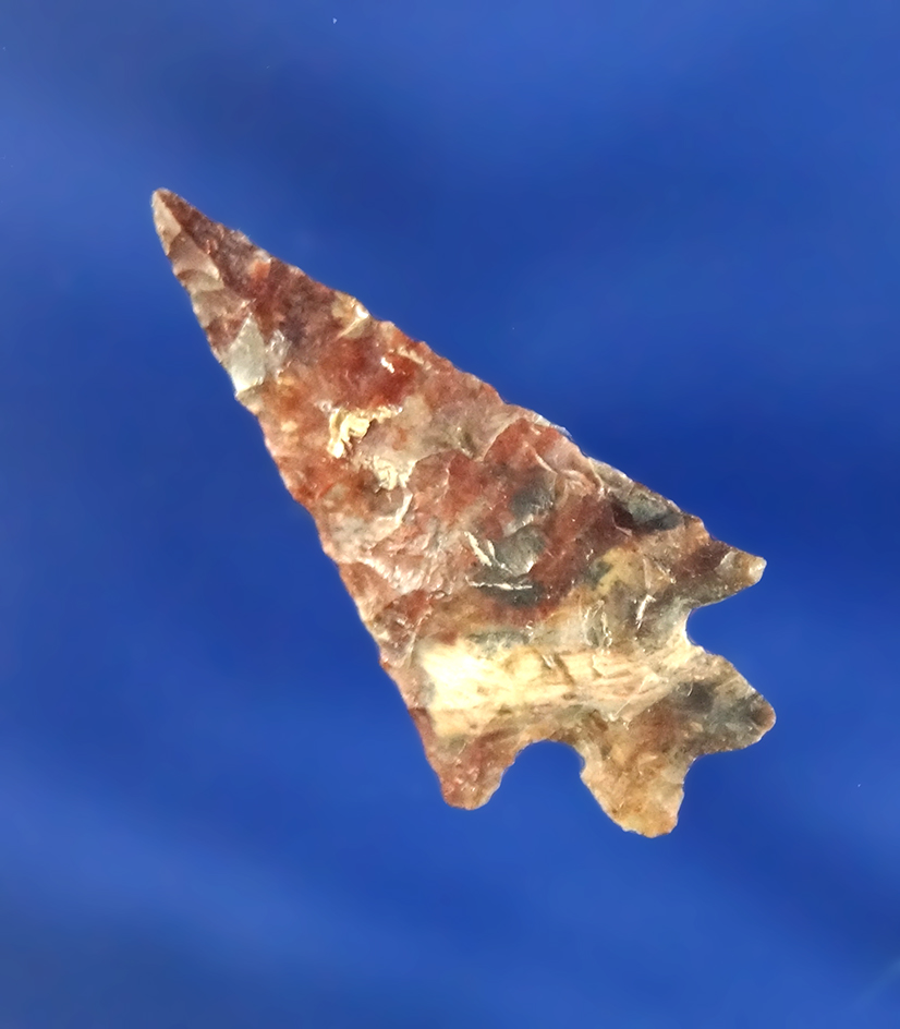 1 1/8" Columbia Plateau found by Norma Berg near the Columbia River.