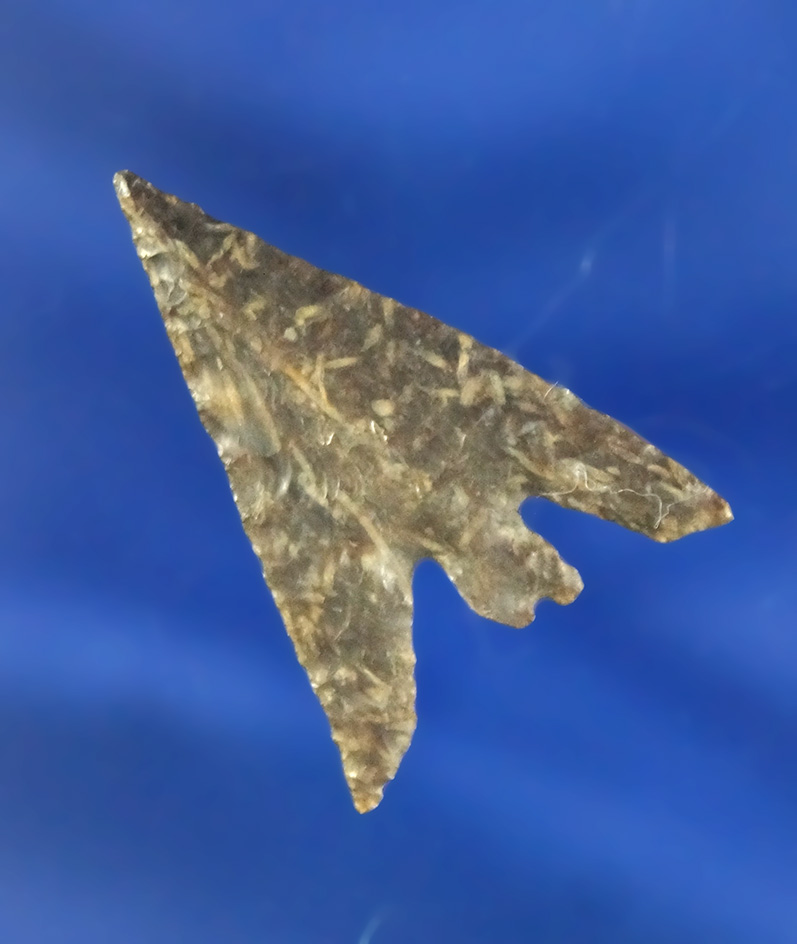 Thin, exceptionally well flaked 1 3/16" Gunther Split Stem  found in Oregon.