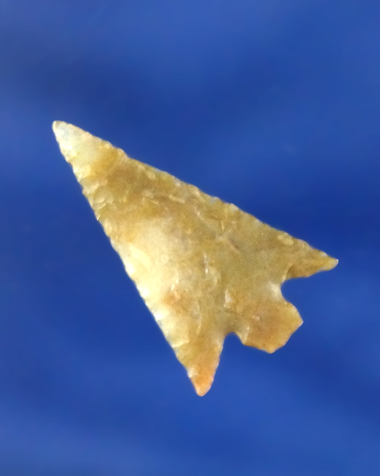 Excellent flaking and style on this 7/8" Wallula gap found near the Columbia River. Ex. Daryl Baker