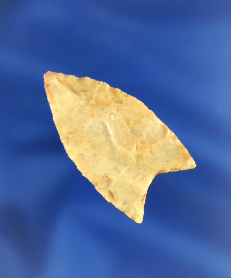 1 7/16" Paleo Dart Point that is very thin found in the Midwest.