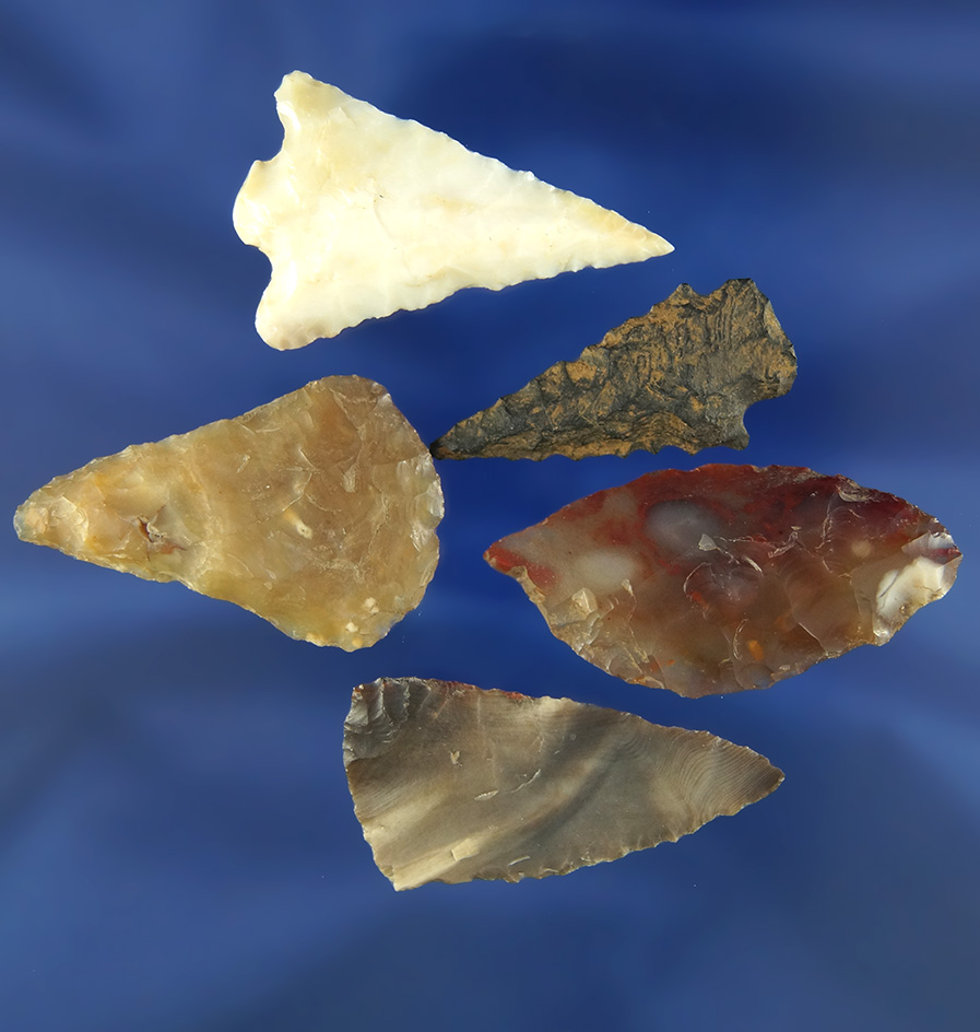 Set of five Columbia River Arrowheads, largest is 1 5/8".