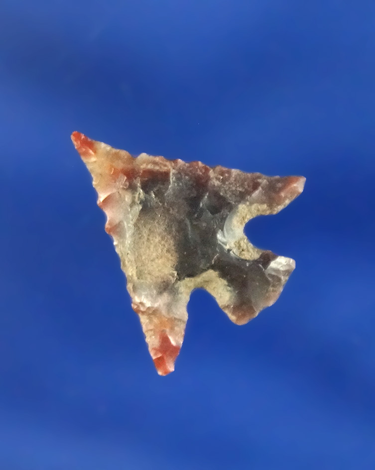 5/8" Columbia Plateau nicely flaked from Jasper - Columbia River in Portland Oregon. Ex.  Cockrell