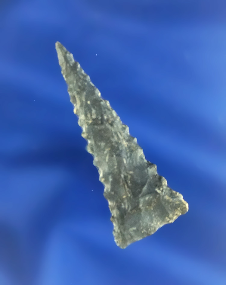 1 5/8" nicely serrated Fort Ancient Triangle found in southern Ohio.