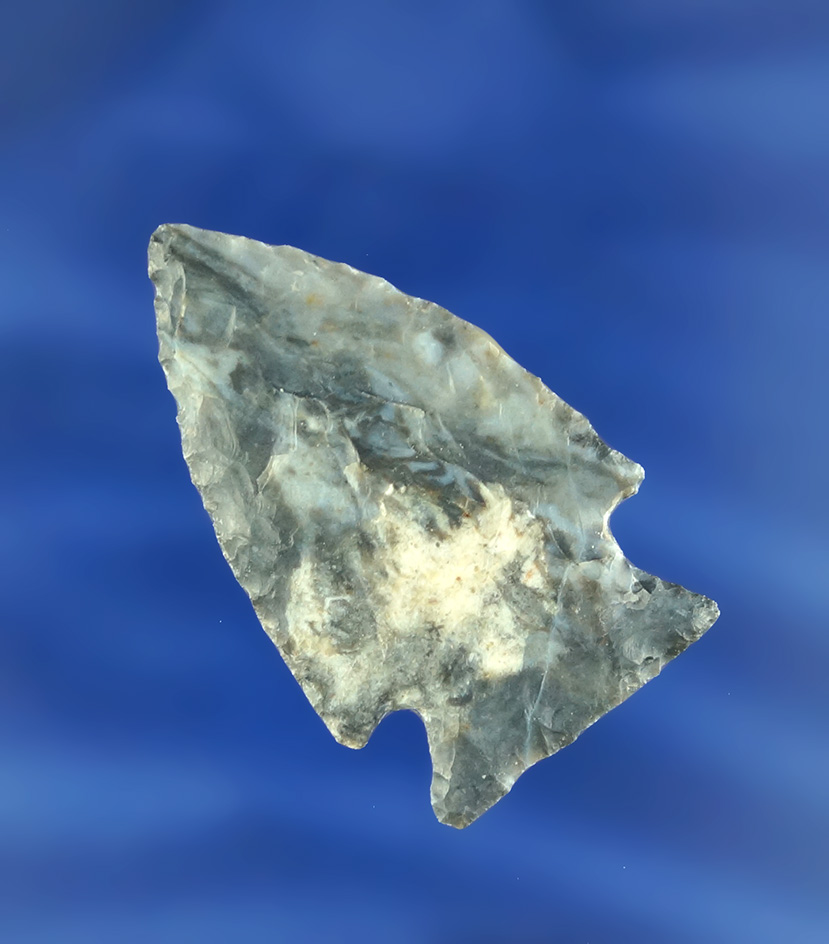 1 13/16" Coshocton Flint intrusive mound point found in Ohio.