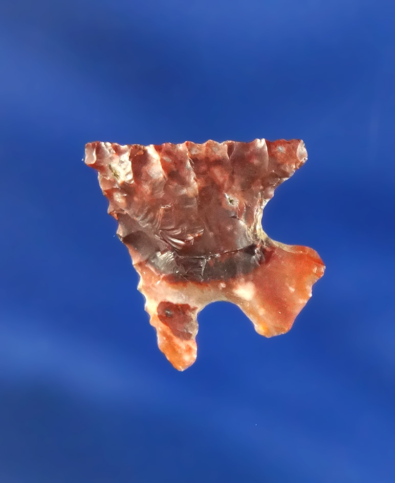 3/4" multicolored Agate Gem Point found in Oregon.