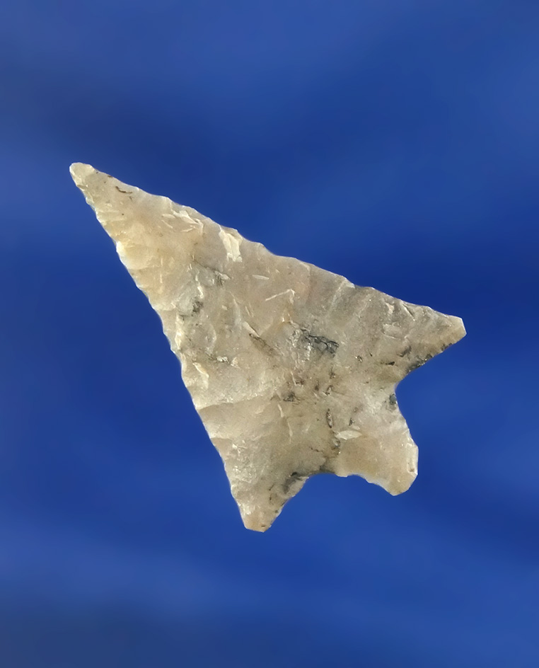 1 1/16" Wallula found near the Columbia River, Oregon. Ex. Darryl Baker collection.