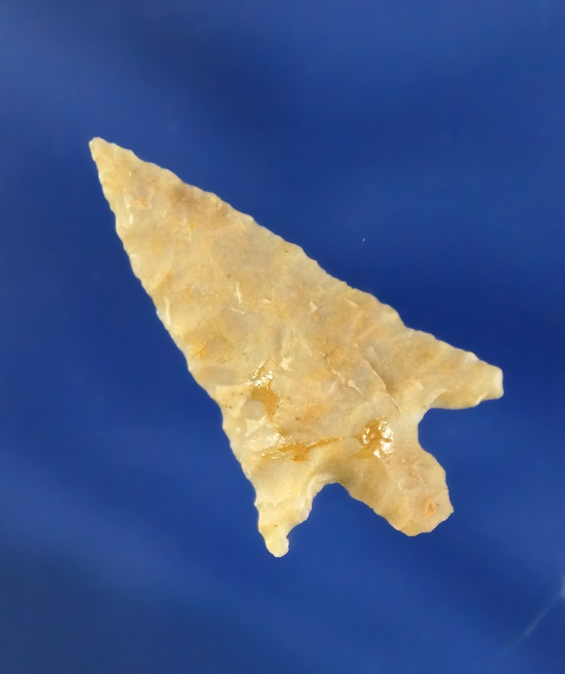 1 1/16" Rabbit Island Arrow point found near the Columbia River. Ex. Darryl Baker collection.