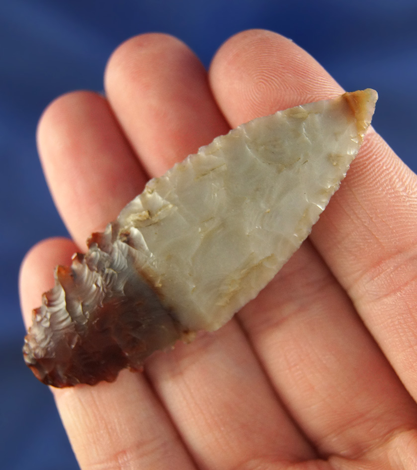 Truly exceptional 2 3/8" Coquille Narrowneck made from beautiful multicolored agate - Oregon.