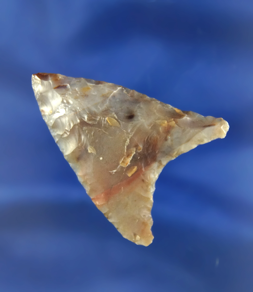 Beautiful multicolored translucent Agate Columbia Mule Ear found in the Dalles Basin,, Oregon.