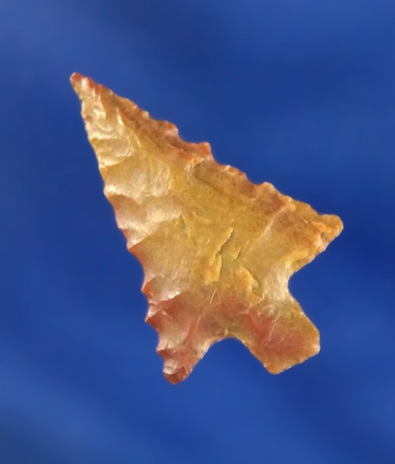 15/16" Wallula with nice edge serrations found near the Columbia River. Ex. Darryl Baker.