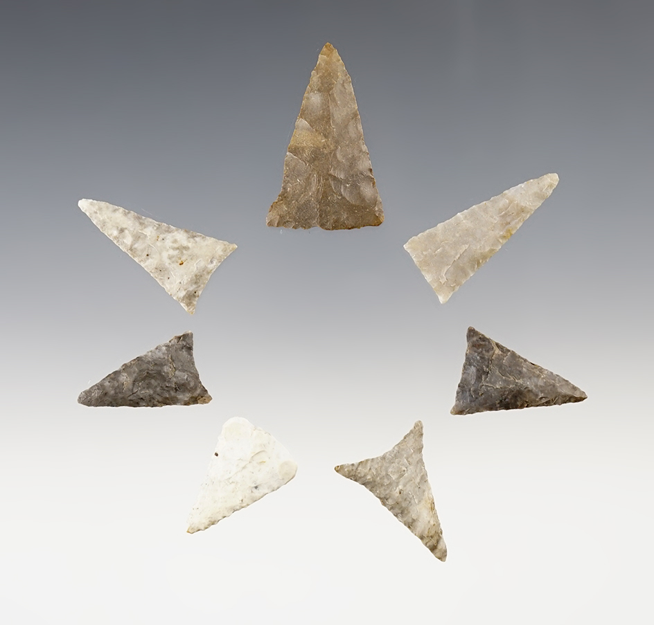Set of 7 nicely flaked Triangle points found in Seneca Co., Ohio. The largest is 1 7/16".