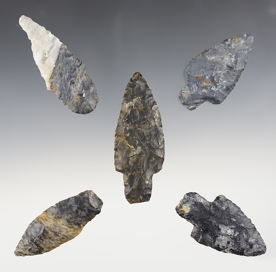Set of 5 Ohio Adena Points made from Coshocton Flint. The largest is 3 3/16".