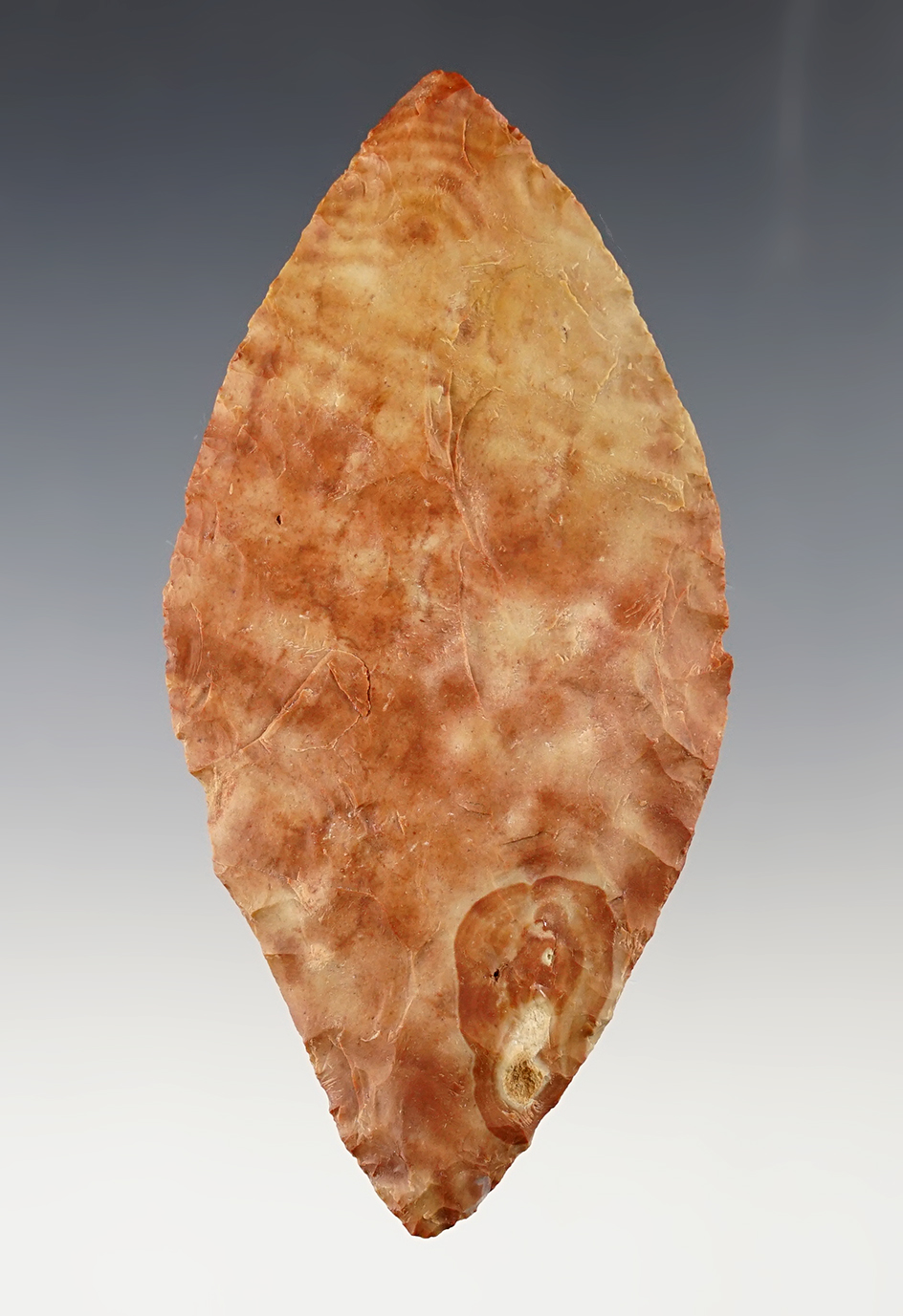 Beautifully flaked 4 1/2" Bi-Pointed knife found near the Columbia River. Ex. Favell Museum.