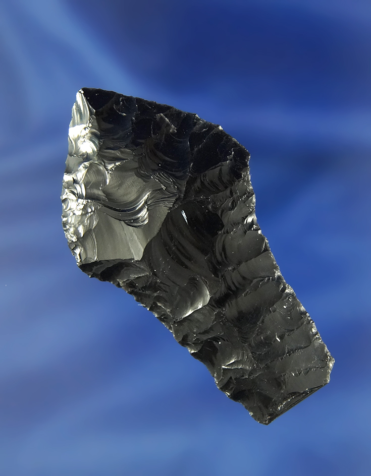 Sale Highlight! Very rare 2 11/16" Paleo Cougar Mountain in excellent condition - Stermer COA.