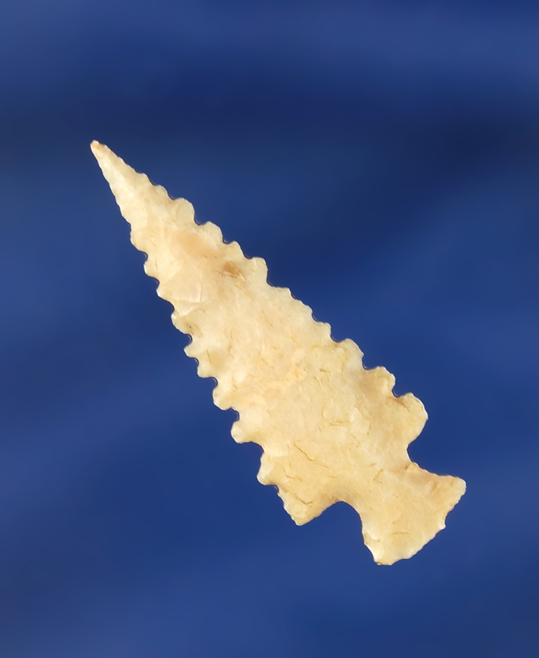 1 7/16" nicely serrated Rose Springs found in Oregon.