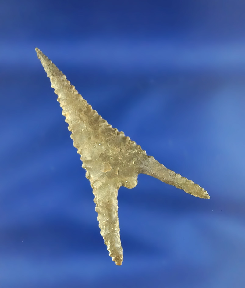 Sale Highlight! Simply incredible style and serrations on this large 2" Gunther point found in Orego