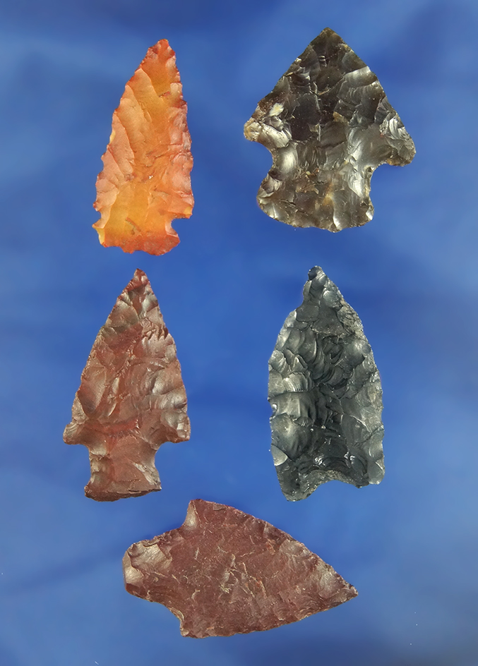 Set of five Columbia River Arrowheads, largest is 1 1/4".