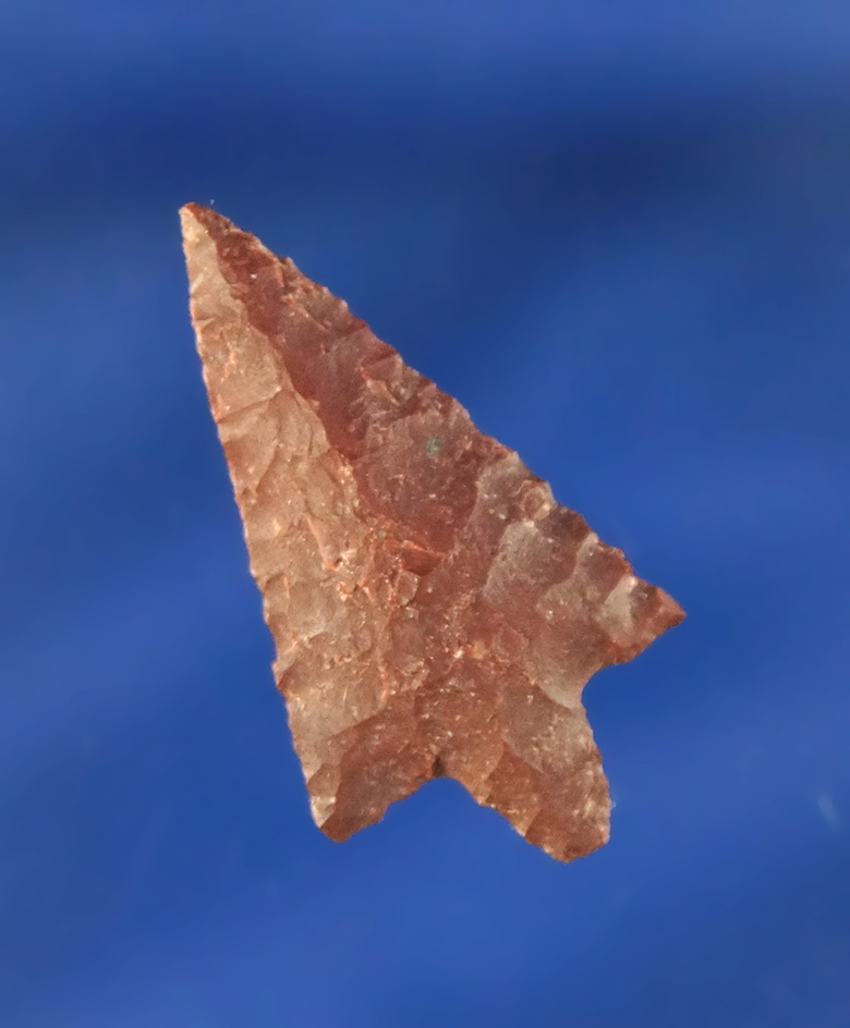 1 3/16" Rabbit Island found near the Columbia River.