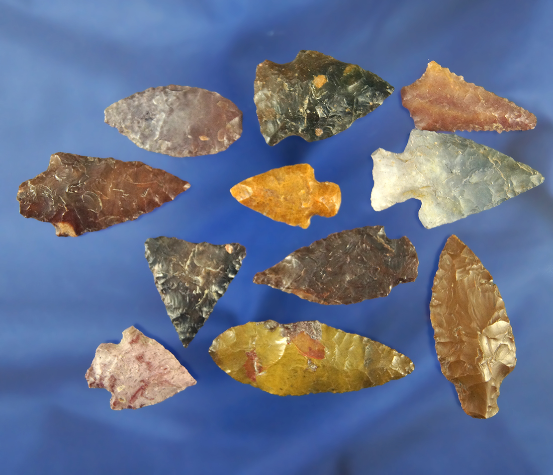Set of 11 assorted Arrowheads found near the Columbia River, largest is 1 7/8".