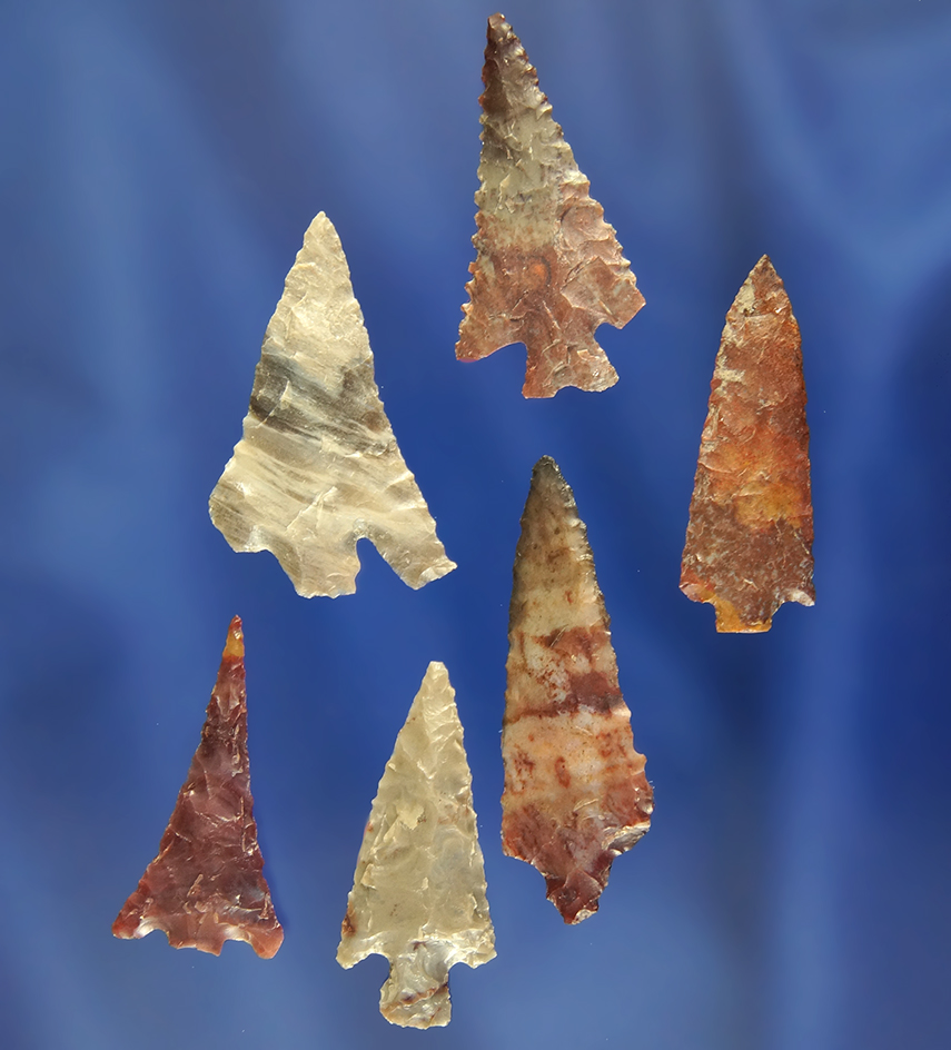 Group of six assorted Columbia River Arrowheads, largest is 1 1/2". The citizen COA with