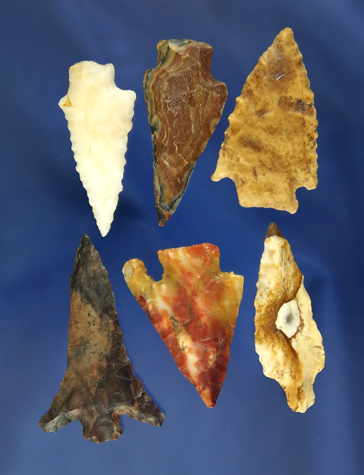 Set of six Arrowheads found near the Columbia River, largest is 1 9/16".