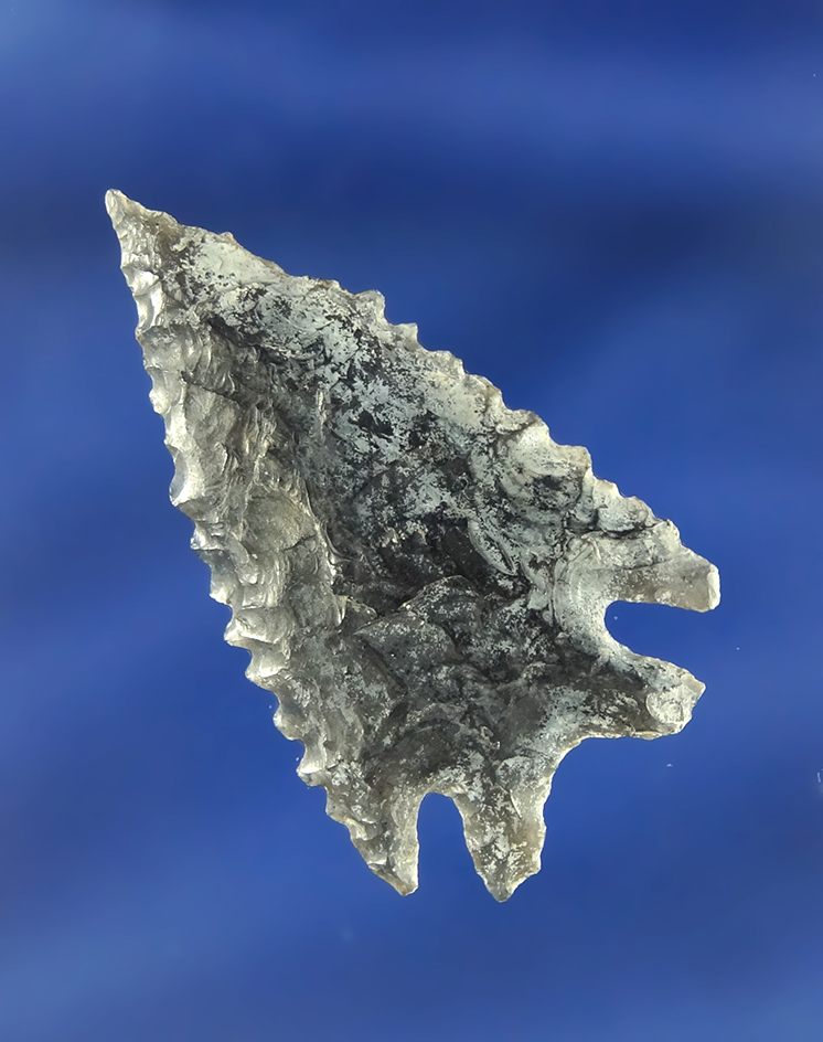 1 11/16" heavily patinated Obsidian Elko in excellent condition. Found in Oregon.