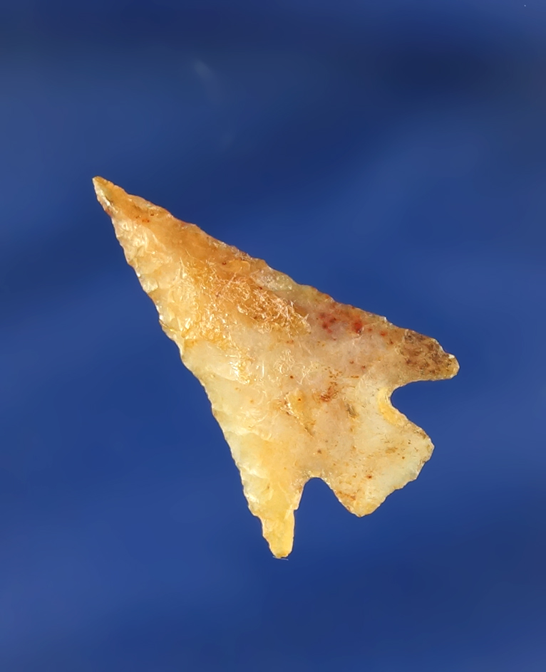 Nicely flaked 1 1/4" Columbia Plateau made from beautiful material found near priest Rapids.