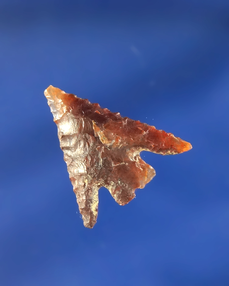 13/16" Columbia Plateau made from beautiful Carnelian agate  found in Oregon