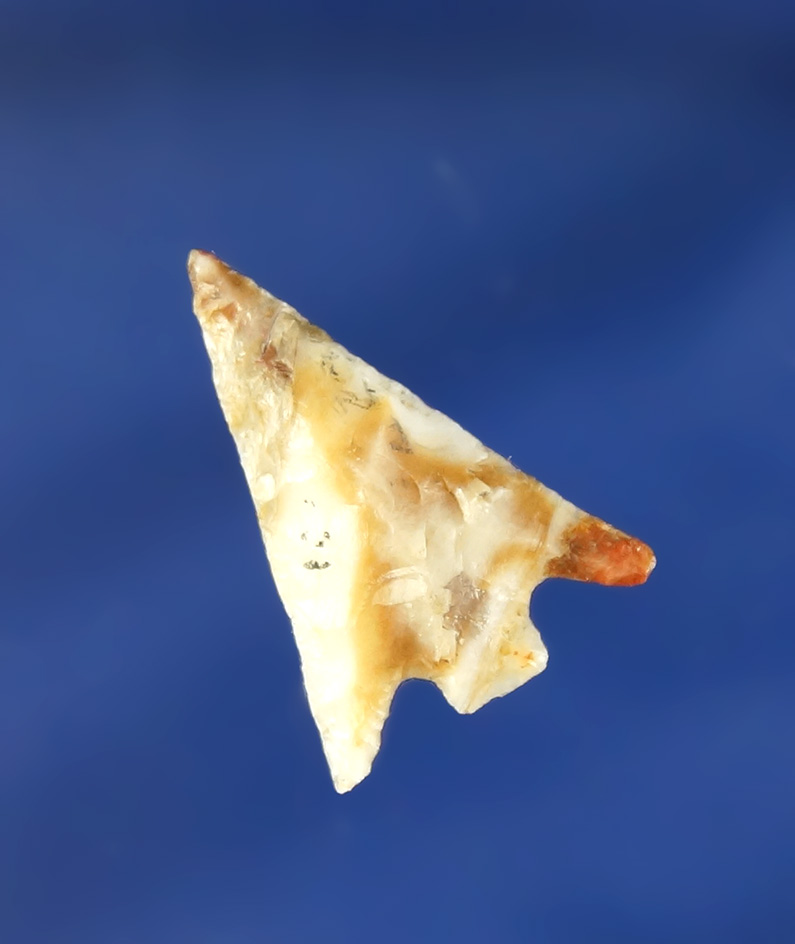 7/8" Columbia Plateau made from very colorful Flint found in Oregon near the Columbia River