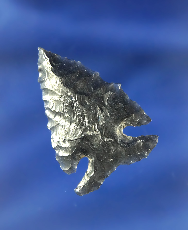 Well styled 1 9/16" Elko Eared made from Obsidian with exceptional style. Found in Oregon.