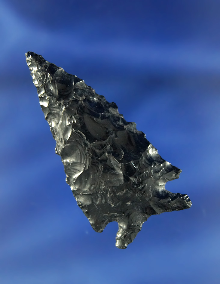 2 3/16" Obsidian Elko found in Oregon.