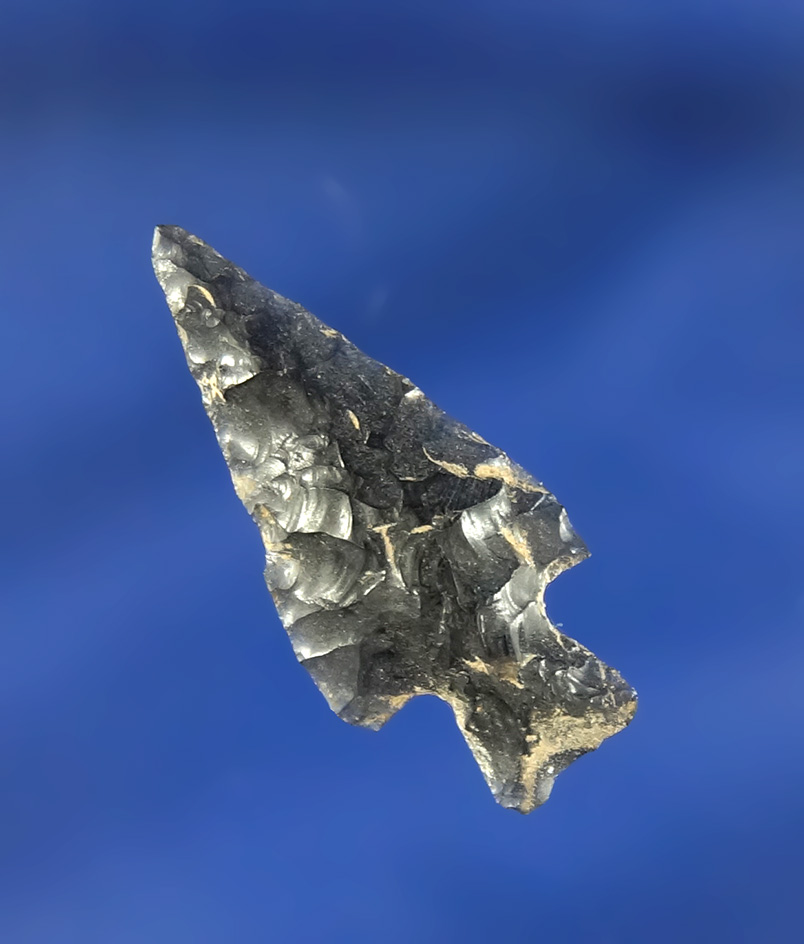 1 3/16" Obsidian Rose Springs found in Oregon near the Columbia River by John Jackson in the 1960s.