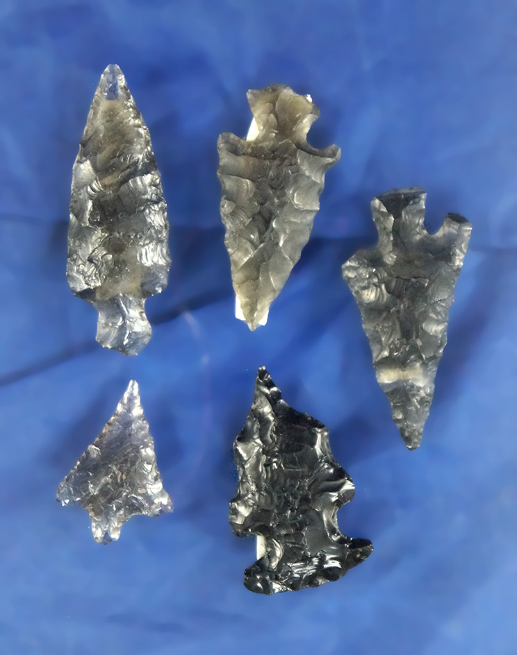 Set of five assorted Obsidian Arrowheads found in Oregon. Several are very nicely translucent.