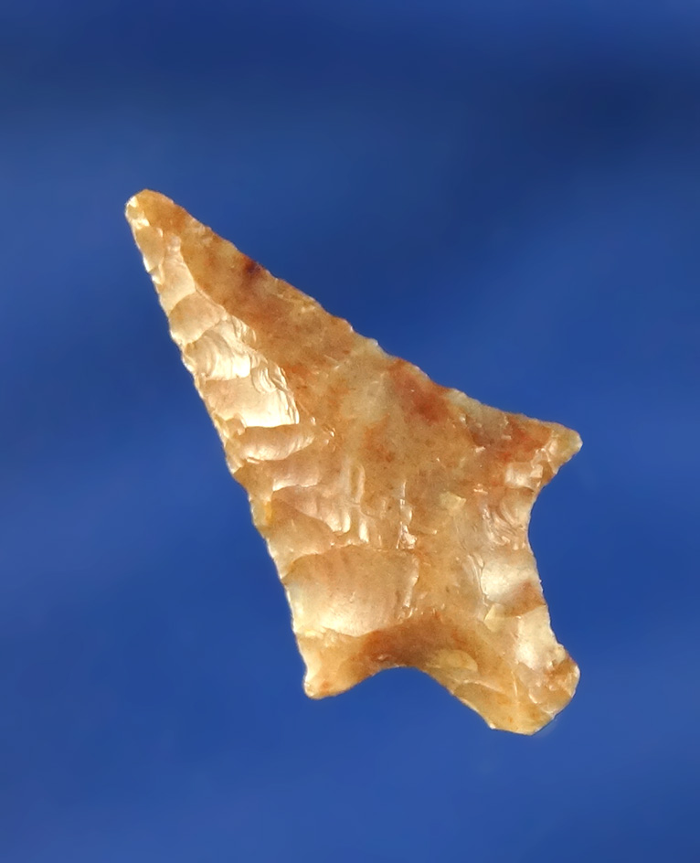 1 1/16" Rabbit Island found near the Columbia River.