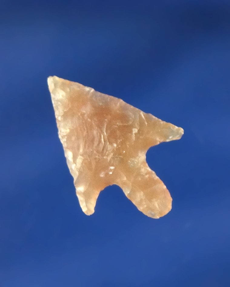 13/16" agate Gempoint that is well flaked from highly translucent found near the Columbia River.