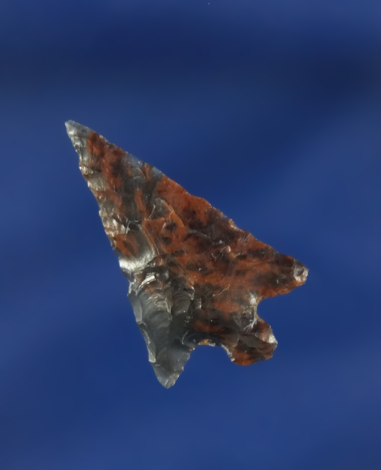 Beautiful mottled 1 1/16"  Semi-translucent triple flow Obsidian Columbia Plateau