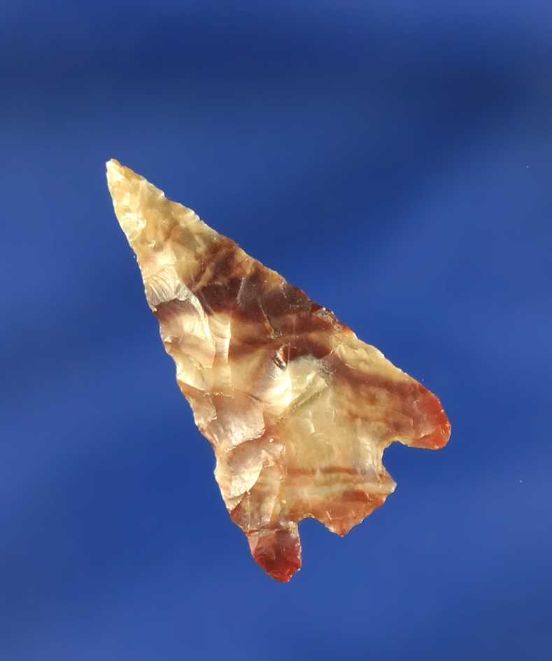 Very colorful 1 1/16" Columbia Plateau found at " The Island Top" near the Dalles, Oregon.