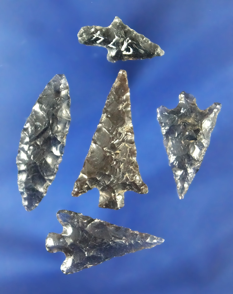 Set of five Obsidian Arrowheads found in Oregon. Largest is 1 1/8".
