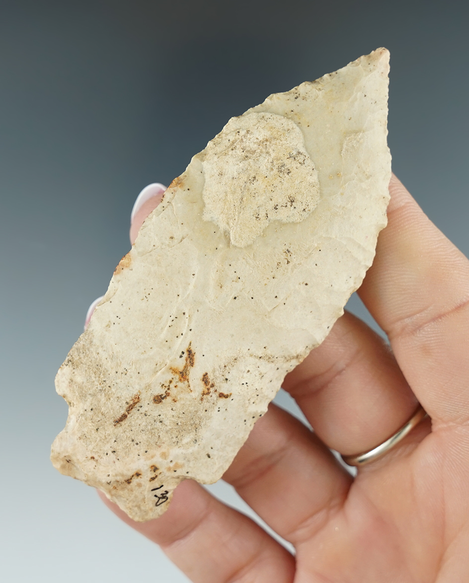 3 1/2" Burlington chert Etley found in Franklin Co., Missouri.