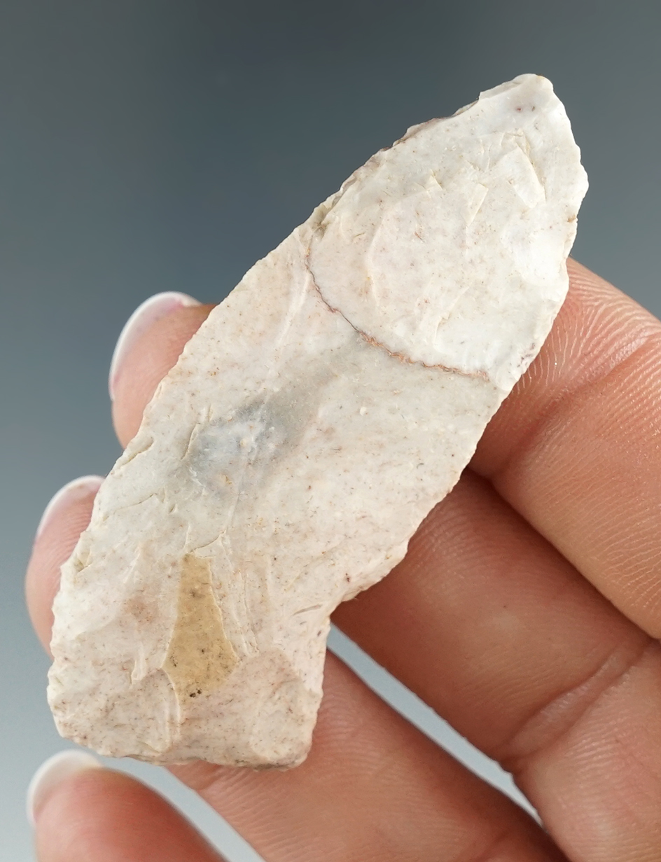 Uniquely shaped Cody Complex Blade. found near the upper Columbia River. Ex. Jim Hogue.