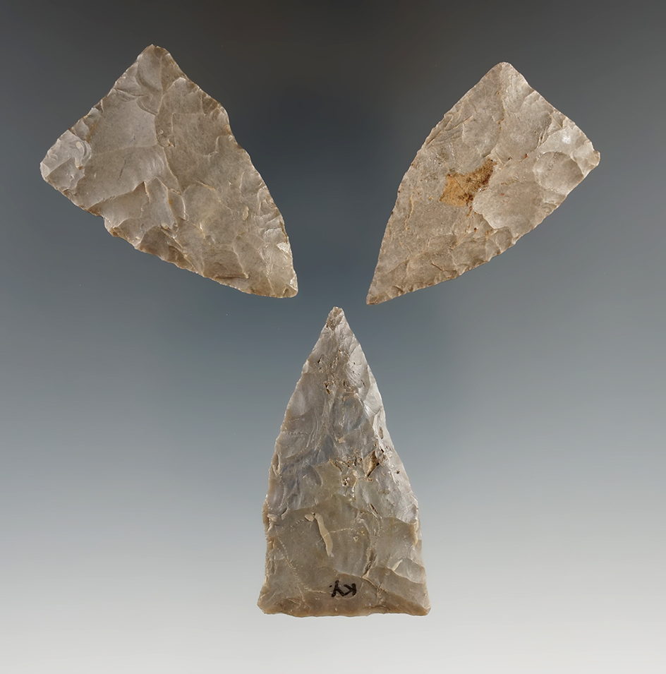 Three nice Copena points found in Kentucky. Largest is 1 13/16".