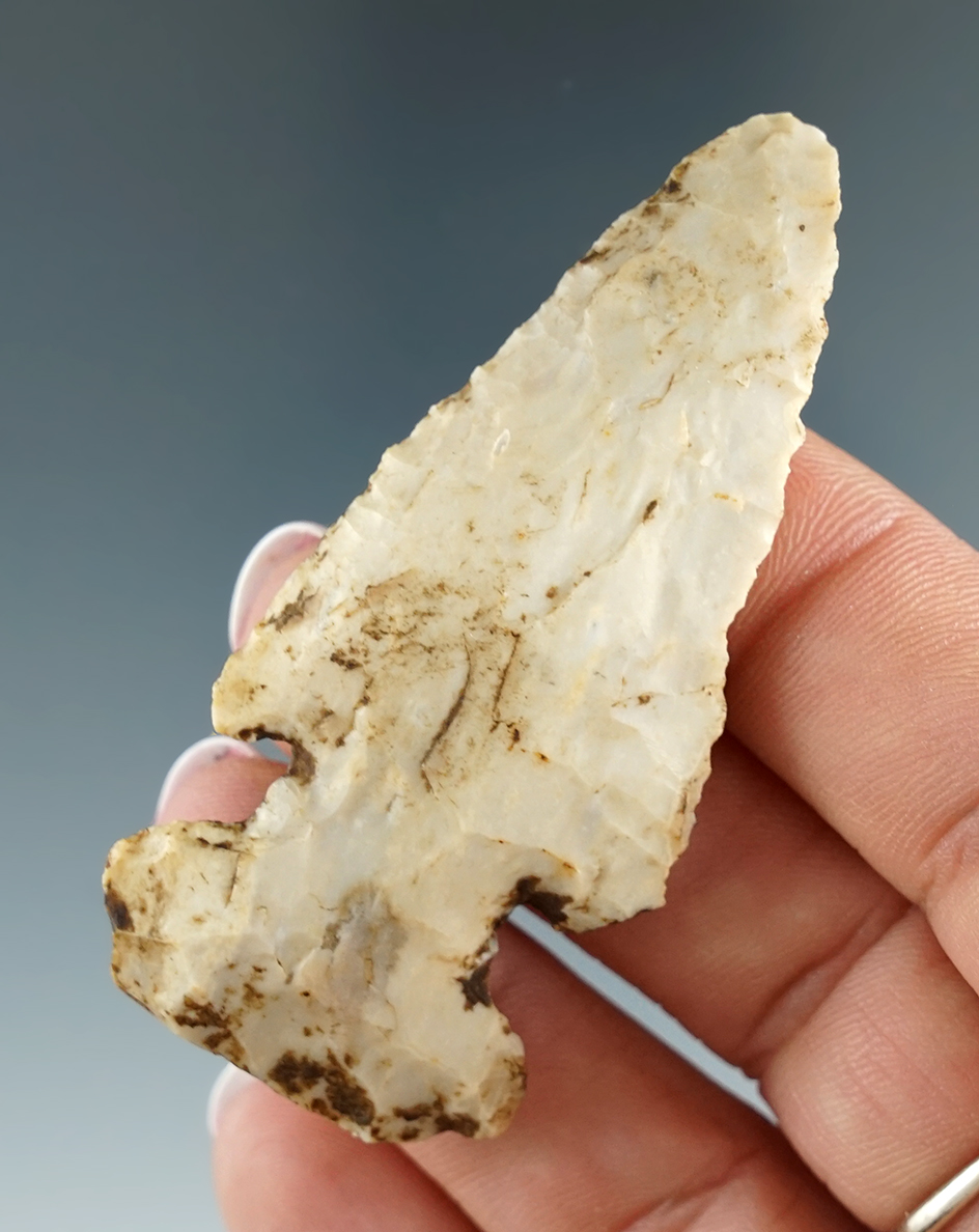 2 9/16" Archaic Thebes E-Notch Bevel with heavy muck stains on surface found in Kentucky.