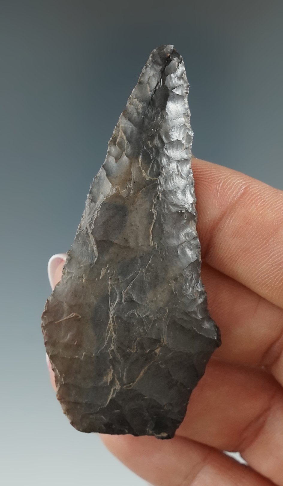 Pictured! 2 11/16" Wahmuza Knife found by Lloyd McLeod in the Atlanta Valley, Washington.