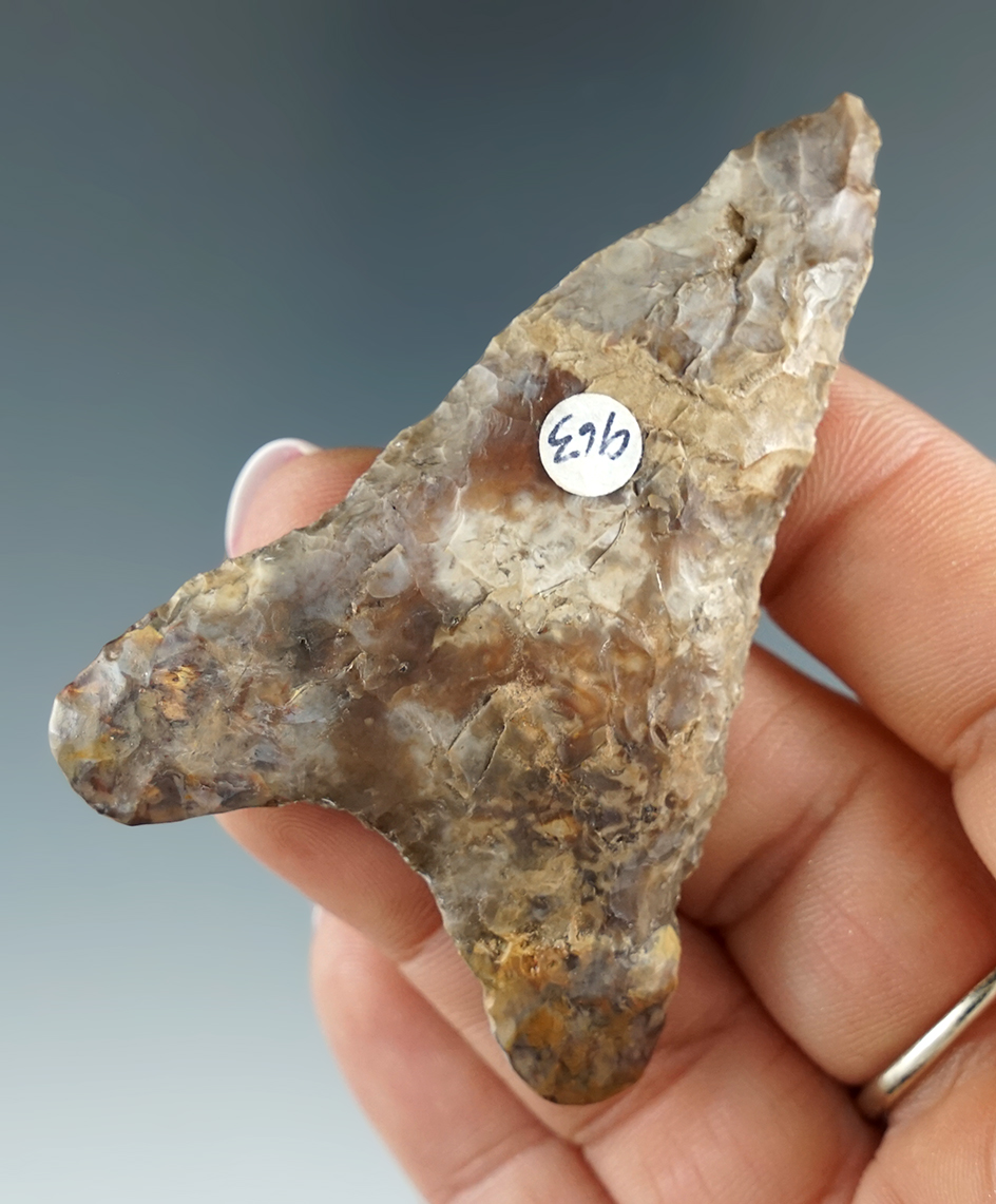 2 5/8" Columbia River Mule Ear with restoration to basal lobes found in Washington.