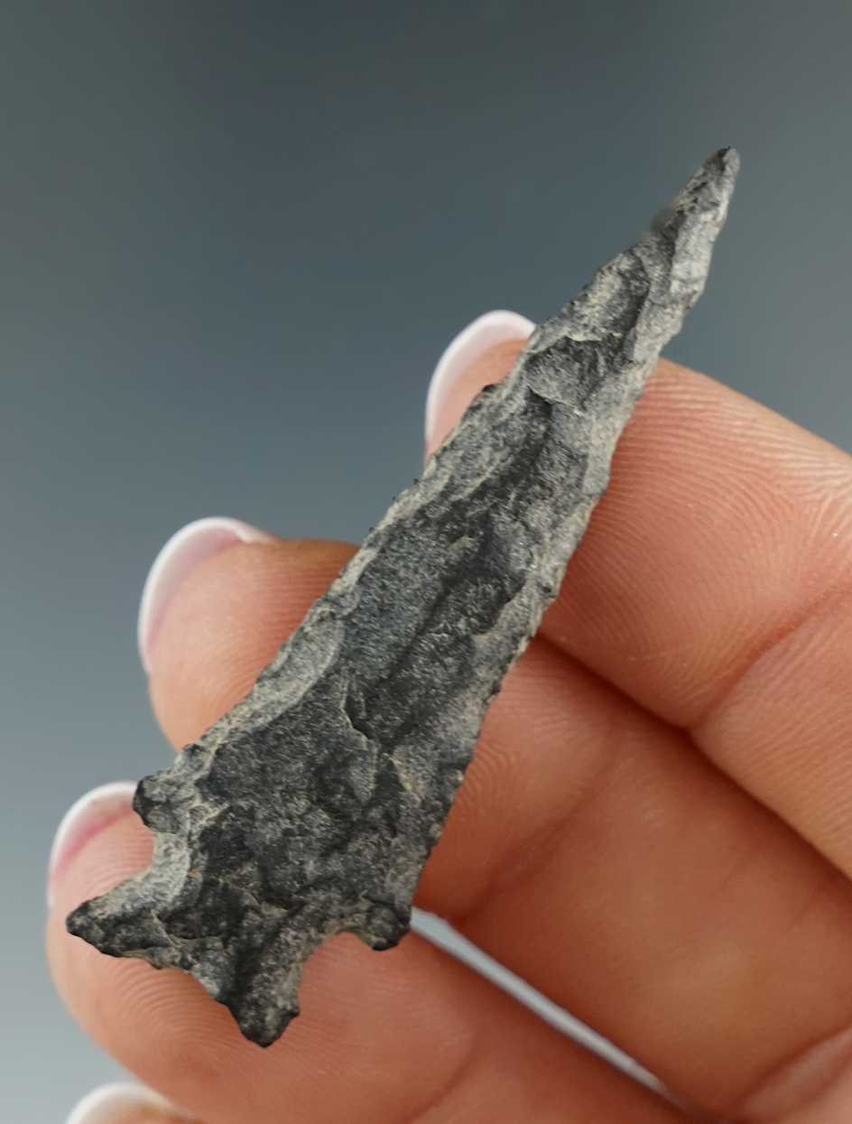 2" Snake River dart point made from basalt found near the lower snake River, Washington.